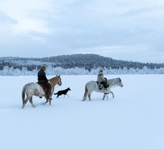 Authentic Holiday Husky Farm Adventure in Finland © Tuomo Vilkkilä